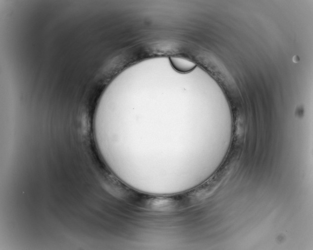 X0000103260173200809191727