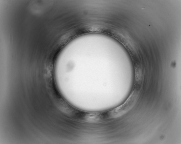 X0000103260175200809191727