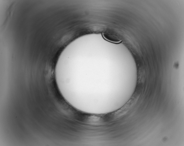 X0000103260176200809191727