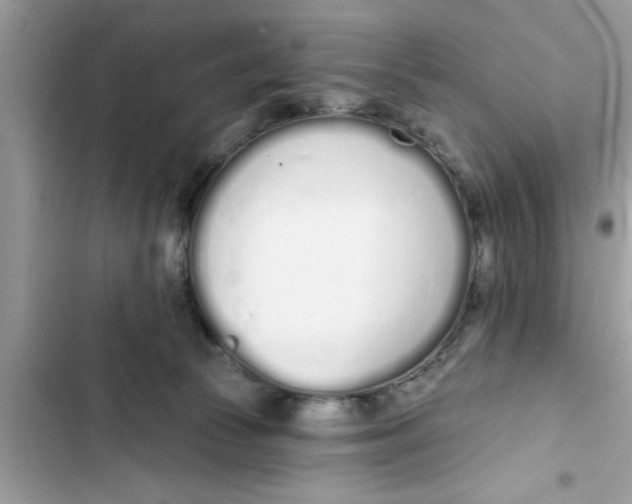 X0000103260177200809191727