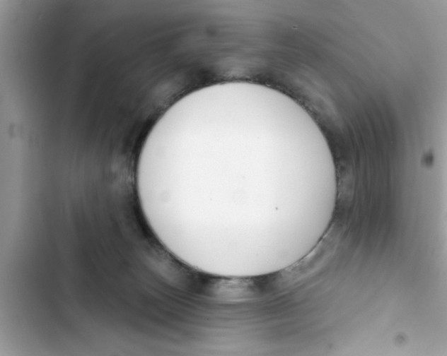 X0000103260179200809191727