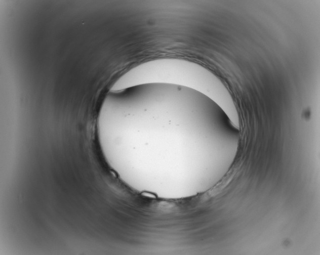 X0000103260180200809191727