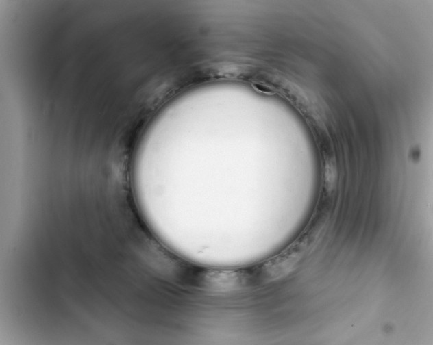 X0000103260181200809191727