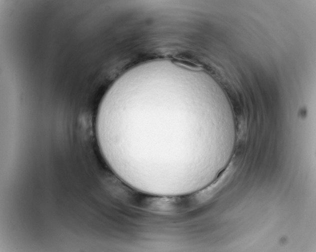 X0000103260182200809191727