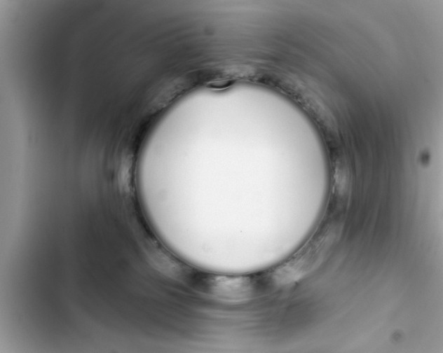 X0000103260185200809191727