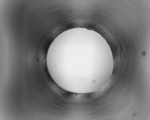 X0000103260186200809191727