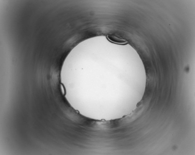 X0000103260188200809191727