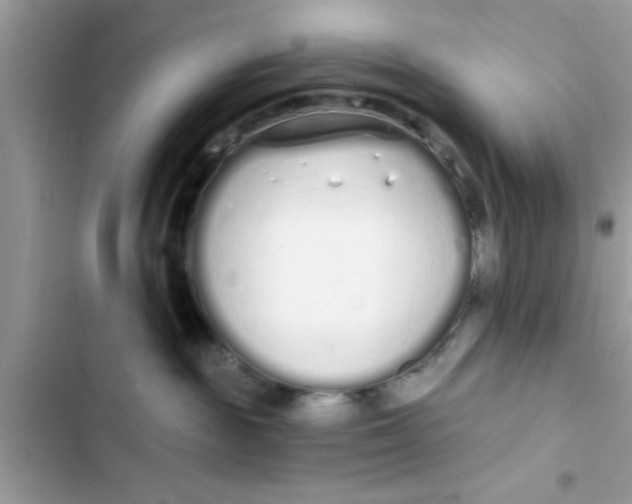 X0000103260189200809191727