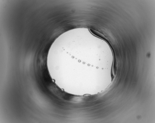 X0000103260190200809191727