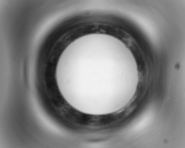 X0000103260191200809191727