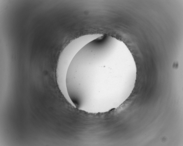 X0000103260192200809191727