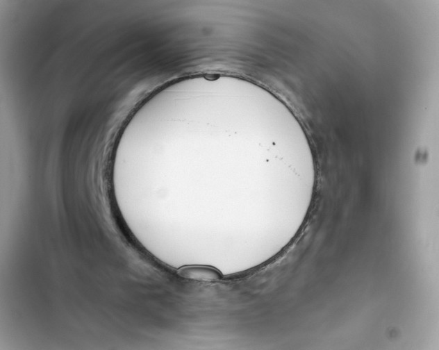 X0000103260193200809191727