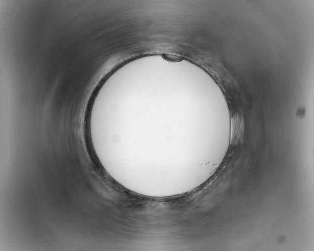 X0000103260195200809191726