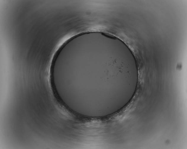 X0000103260196200809191726