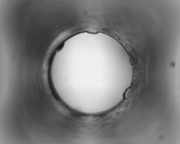 X0000103260197200809191726