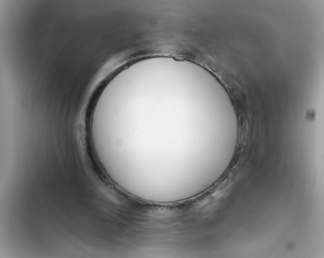 X0000103260198200809191726