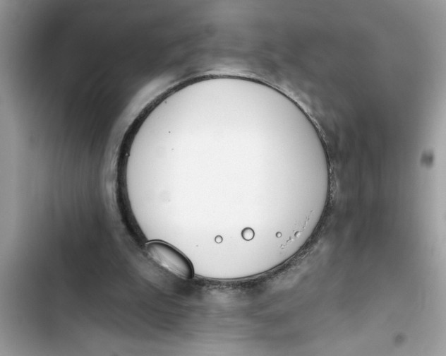 X0000103260199200809191726