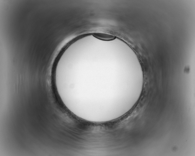 X0000103260200200809191726