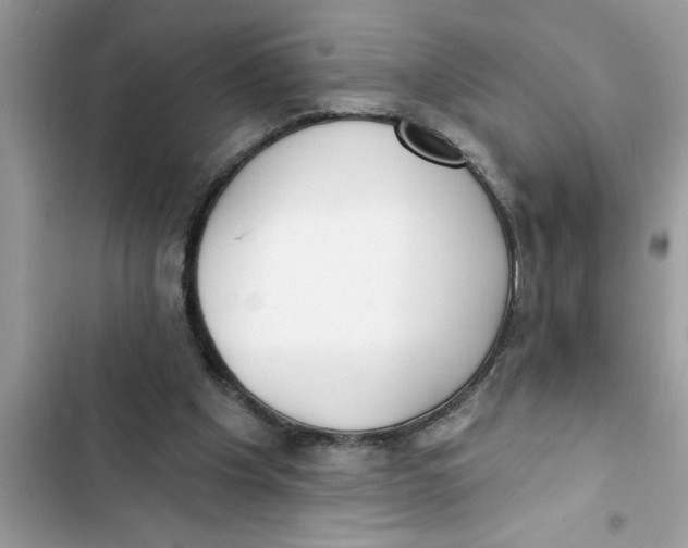 X0000103260201200809191726