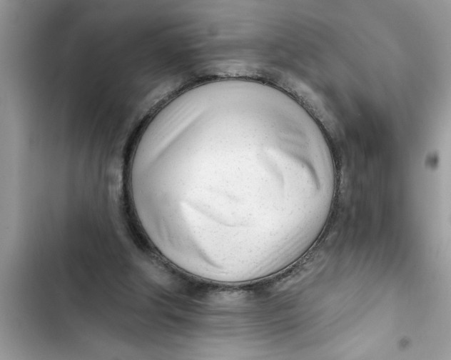 X0000103260202200809191726