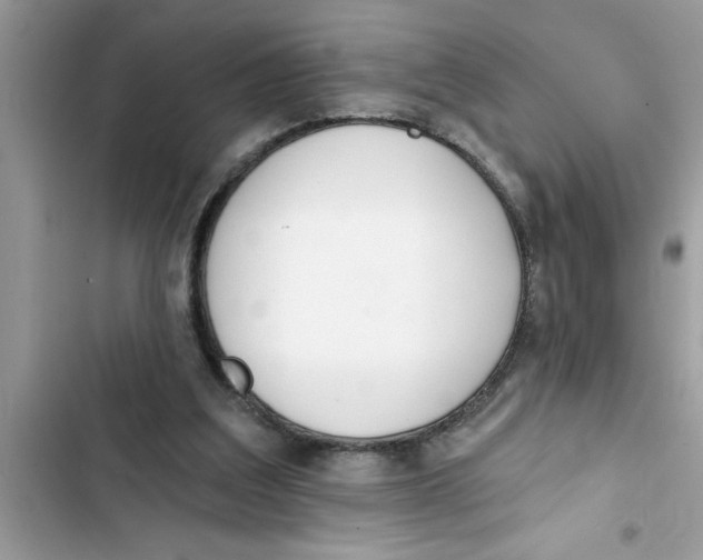 X0000103260203200809191726