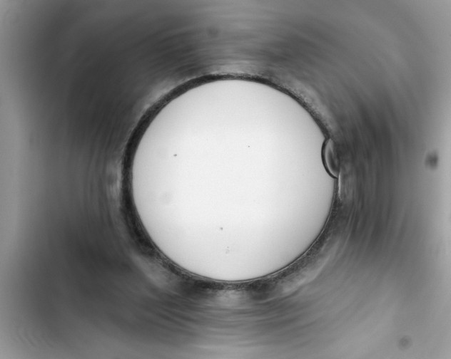 X0000103260204200809191726