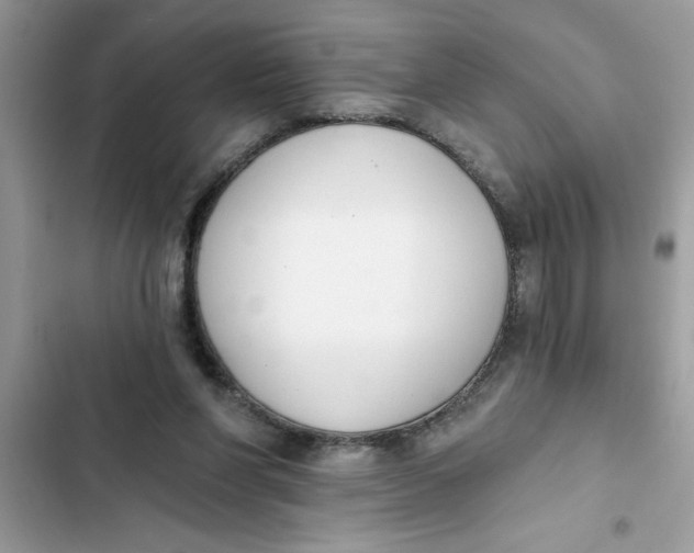 X0000103260206200809191726