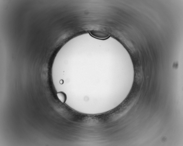 X0000103260207200809191726