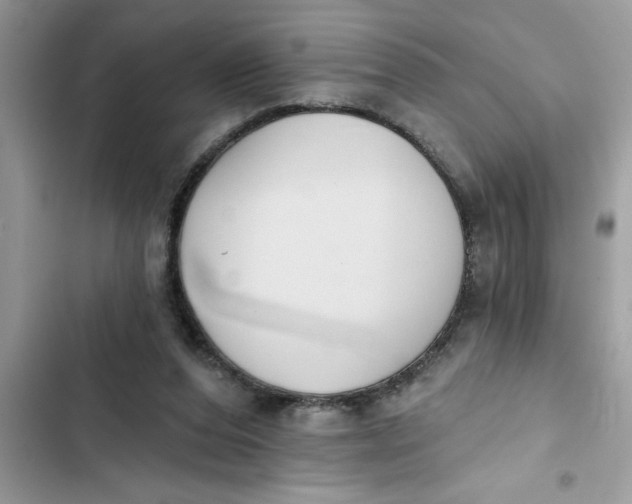 X0000103260208200809191726