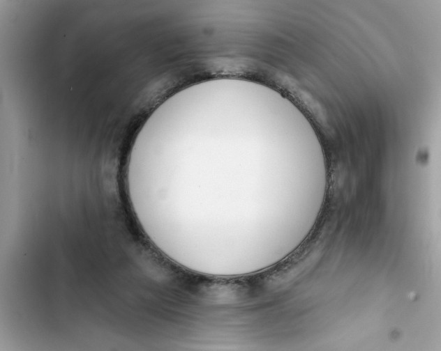 X0000103260209200809191726