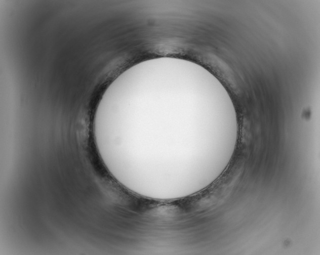 X0000103260210200809191726