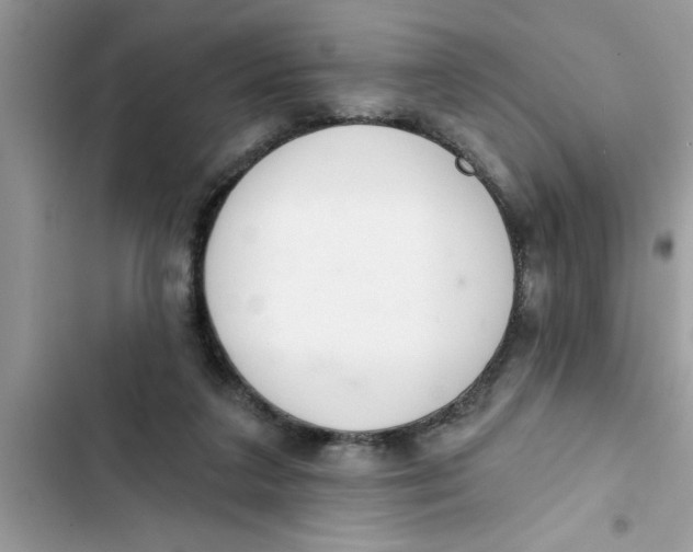 X0000103260211200809191726