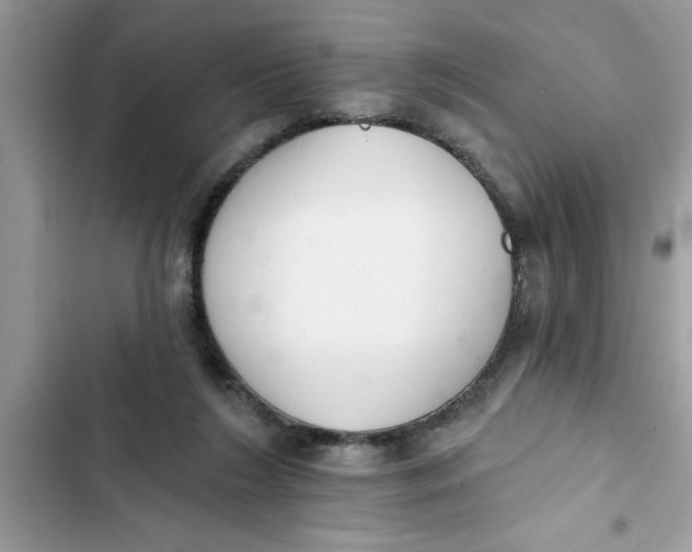 X0000103260212200809191726