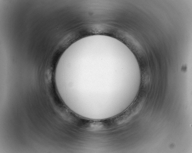 X0000103260214200809191726