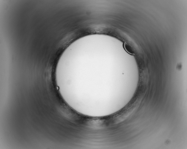 X0000103260217200809191726