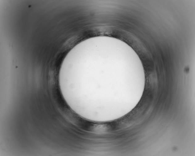 X0000103260218200809191726