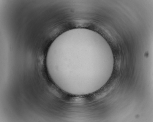 X0000103260219200809191726