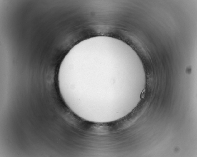 X0000103260221200809191726