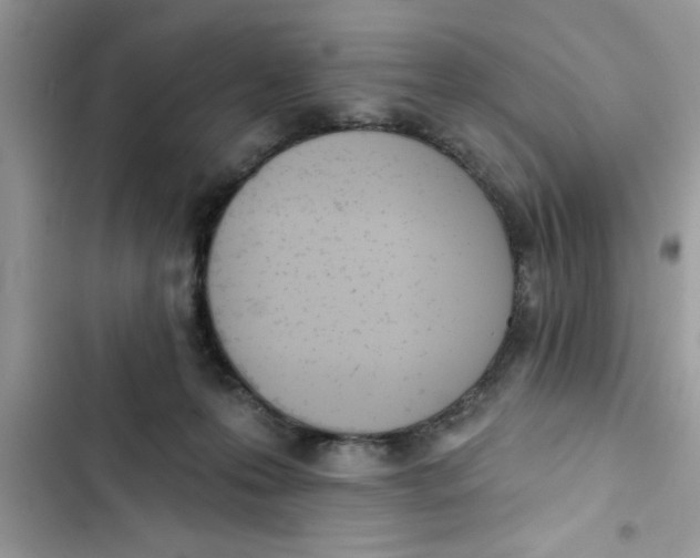 X0000103260223200809191726