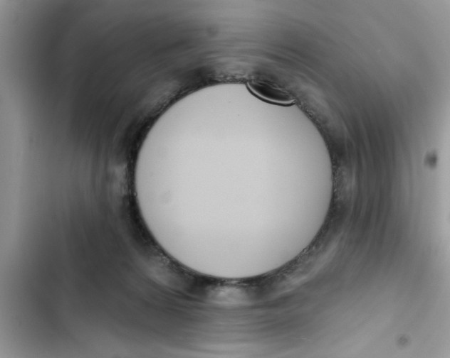 X0000103260224200809191726