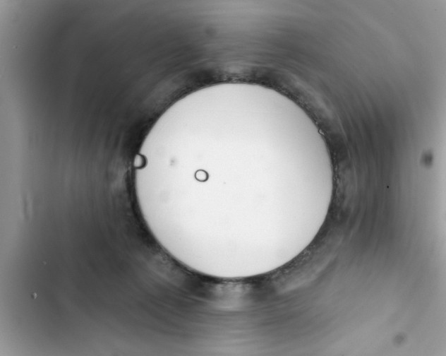 X0000103260225200809191726