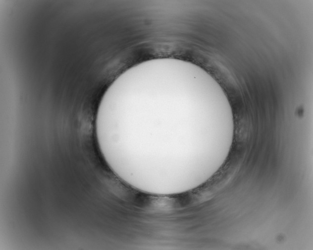 X0000103260226200809191726