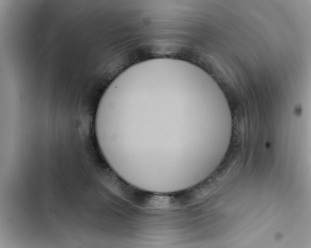 X0000103260227200809191726