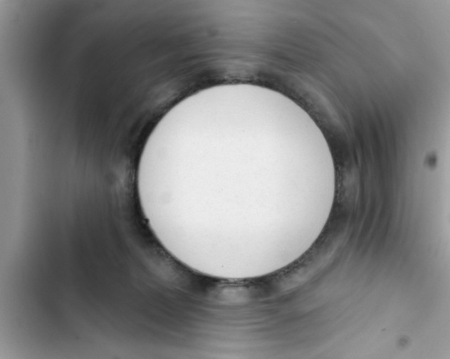 X0000103260228200809191726