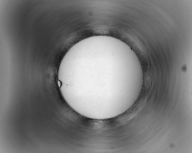 X0000103260229200809191726