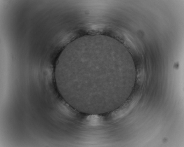 X0000103260231200809191726