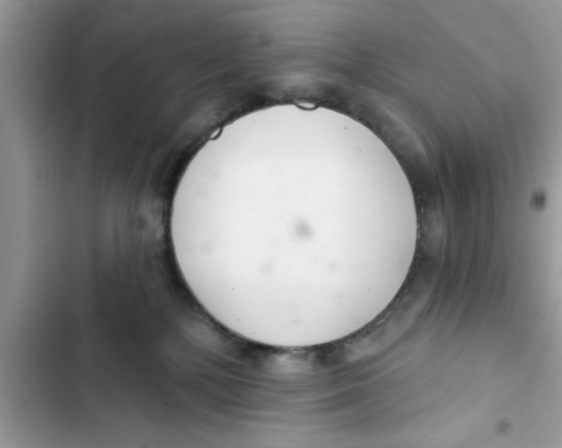 X0000103260232200809191726