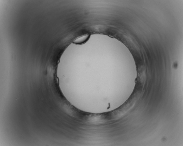 X0000103260235200809191726