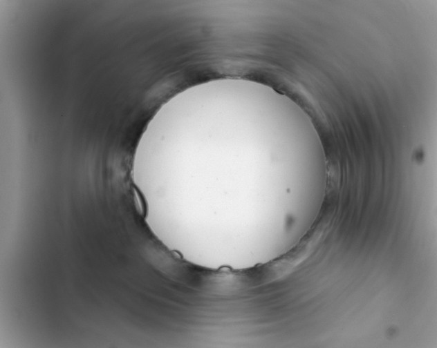 X0000103260237200809191726