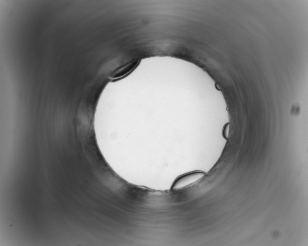 X0000103260240200809191726